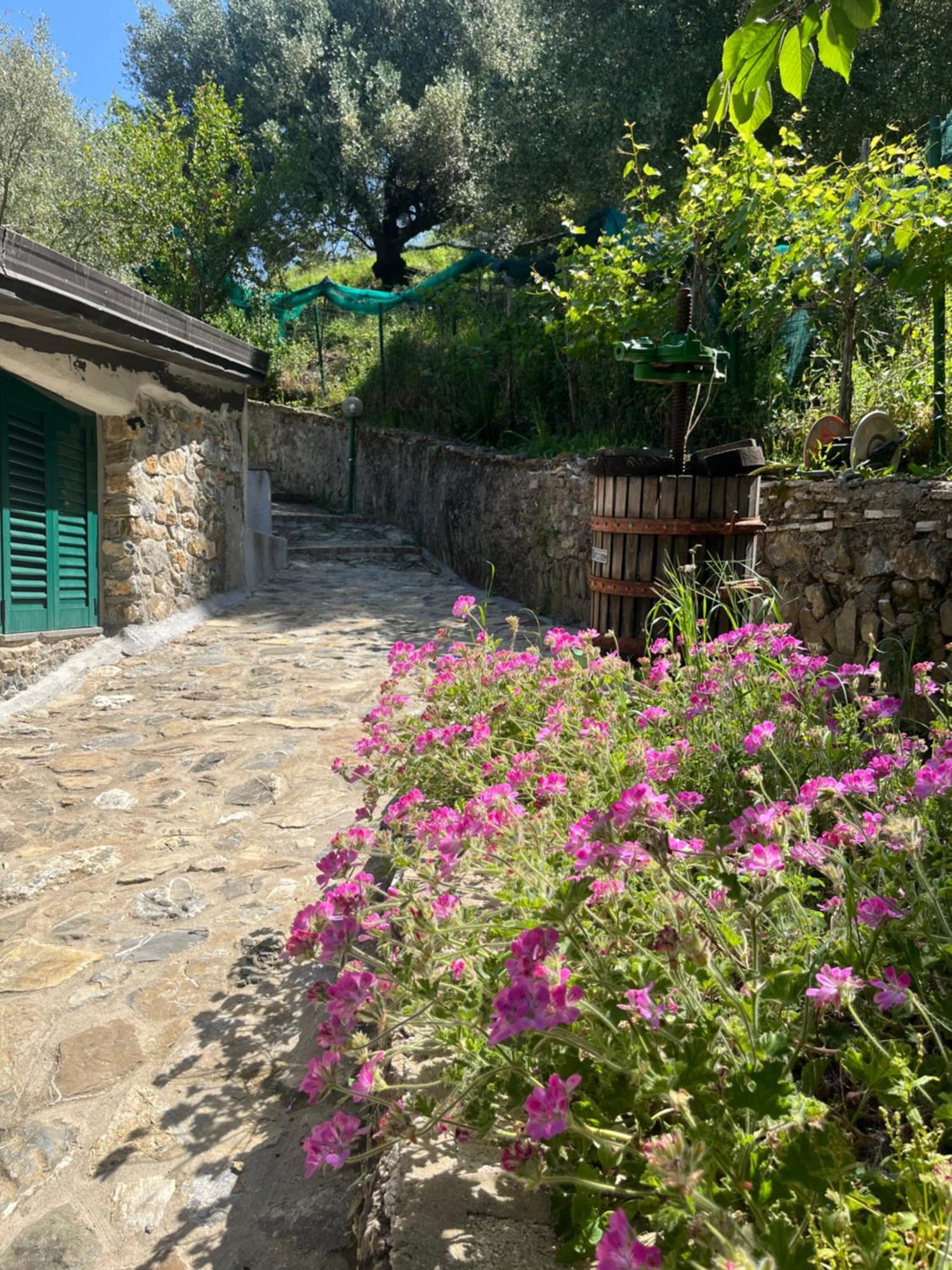 Casa Vacanze Alfano Ascea Exterior photo
