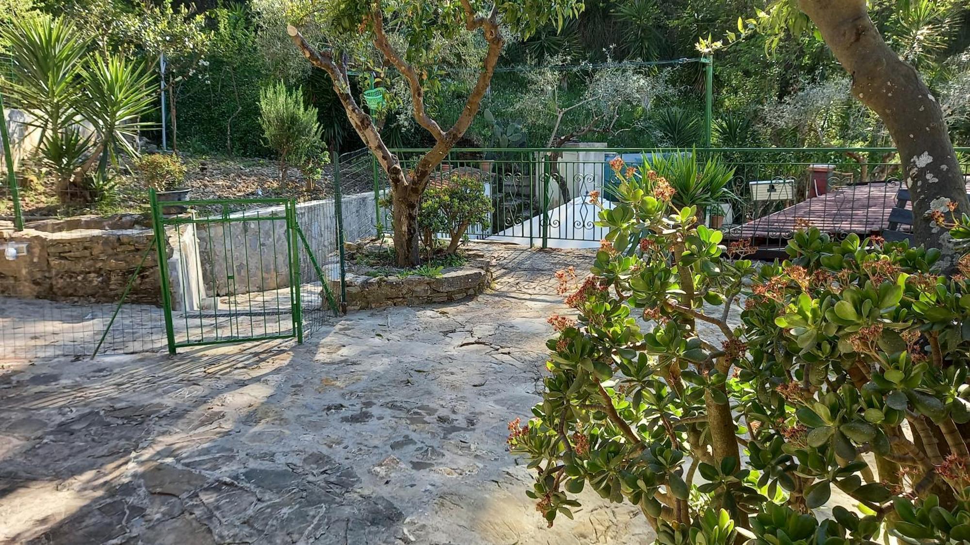 Casa Vacanze Alfano Ascea Room photo
