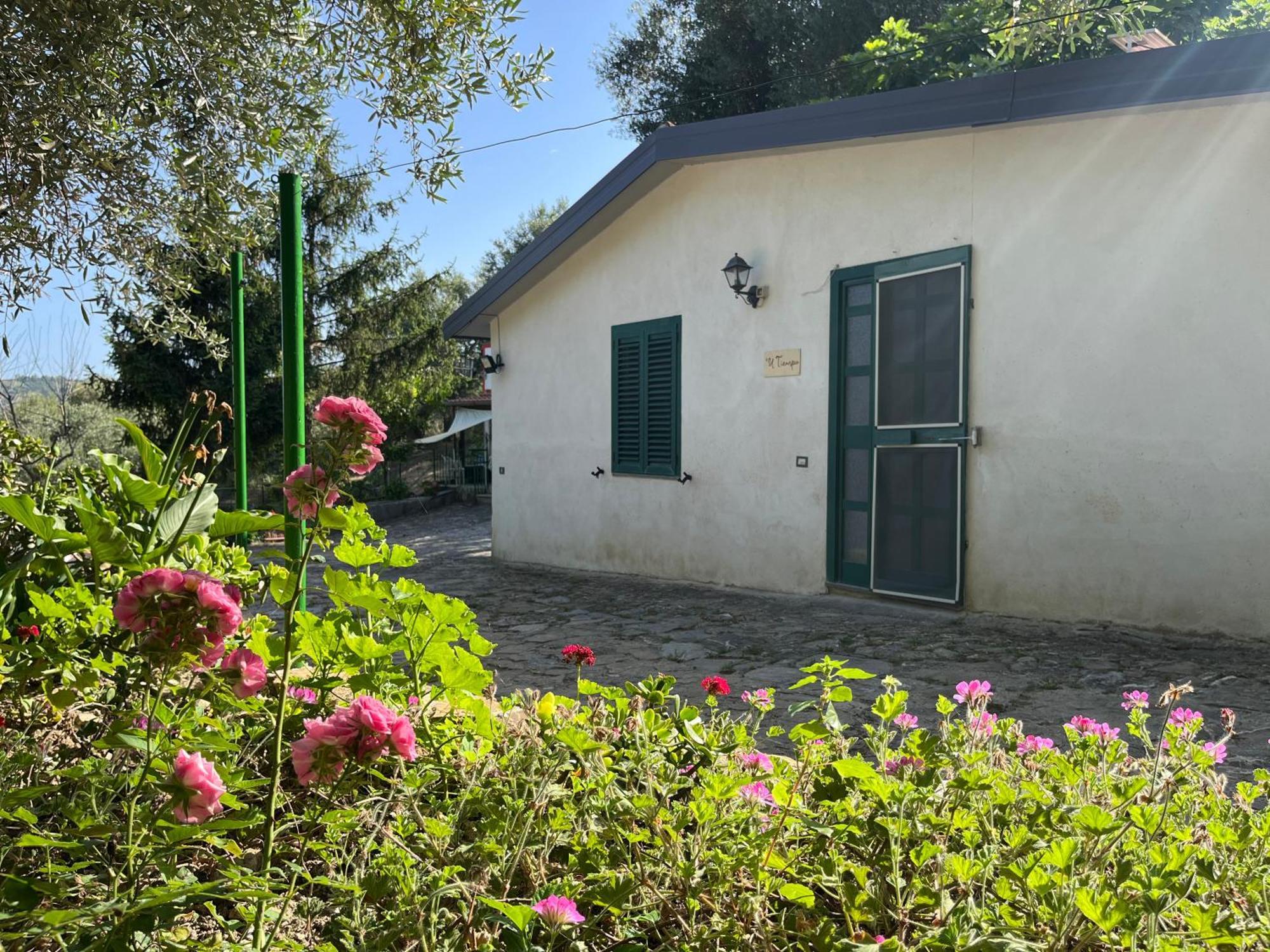 Casa Vacanze Alfano Ascea Room photo